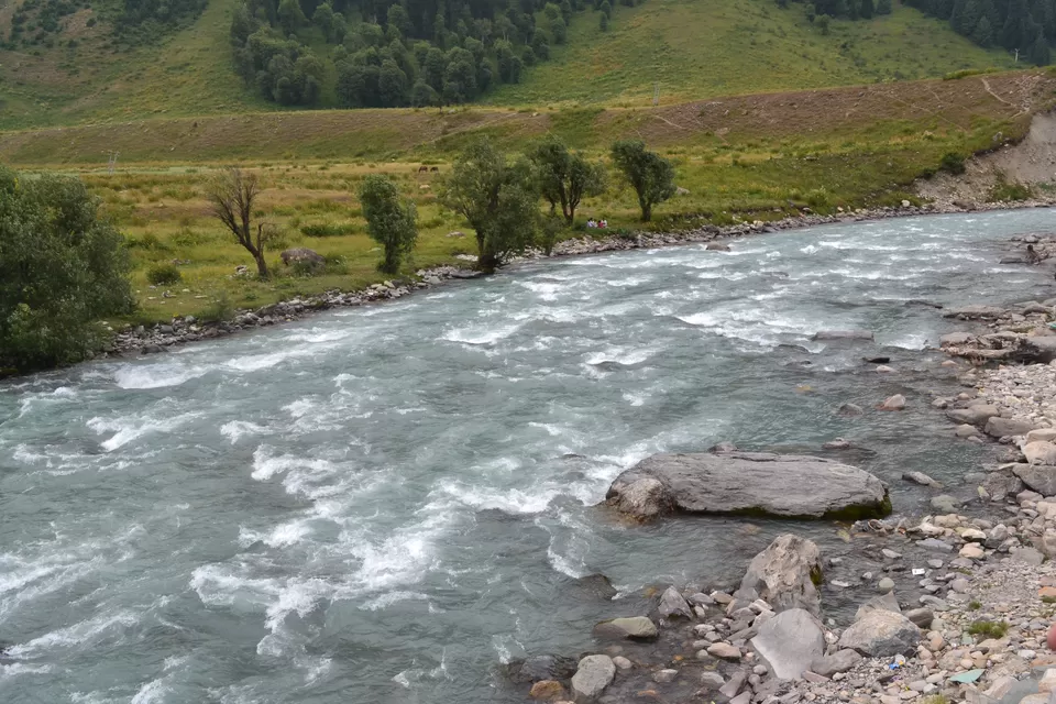 Photo of Water by our side by Smita