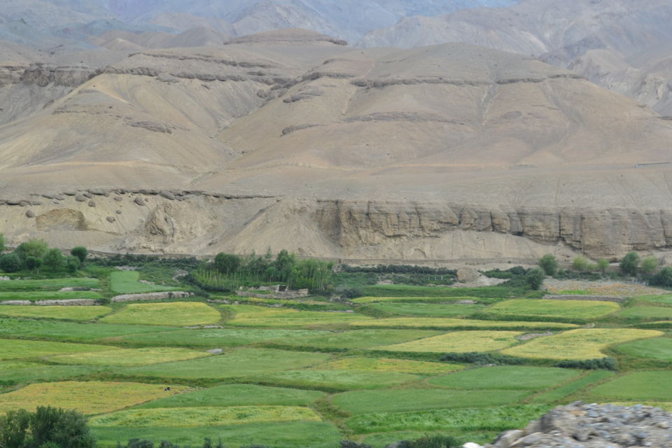 Photo of And I found my heaven-Ladakh 21/69 by Smita