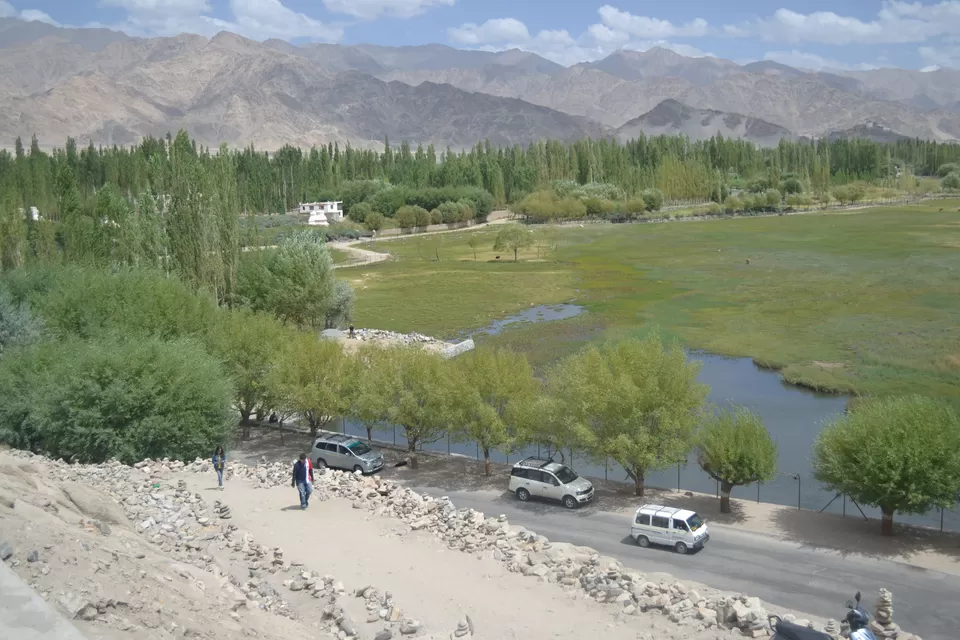 Photo of Shey Palace, Shey Palace, Leh Manali Hwy, Shey 194201 by Smita