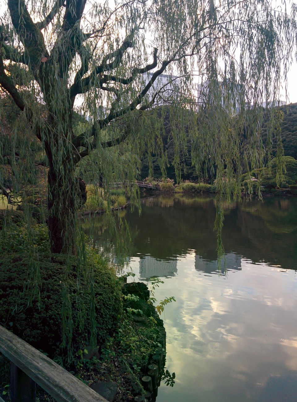 Photo of Japan – Hell ya!! 5/24 by Smita