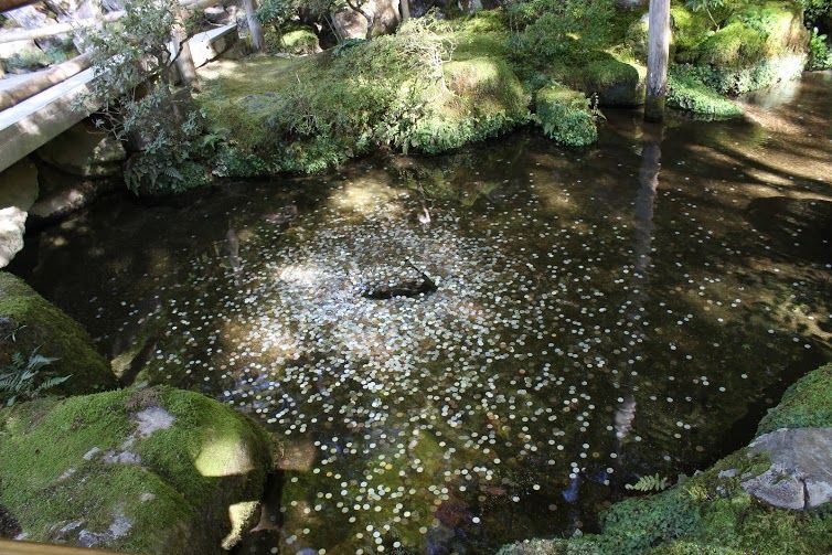 Photo of Japan – Hell ya!! 14/24 by Smita