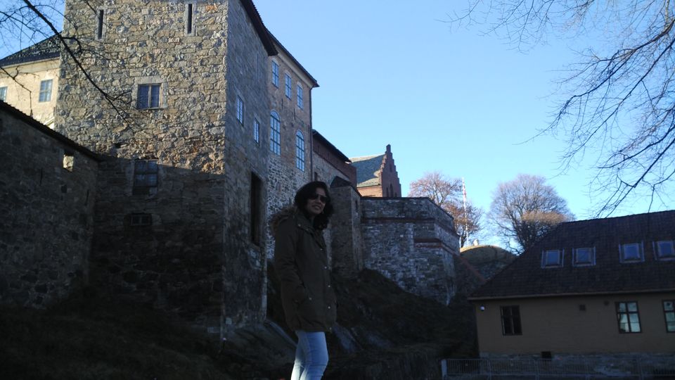 Photo of European Diaries- A quickie in OSLO 8/14 by Smita