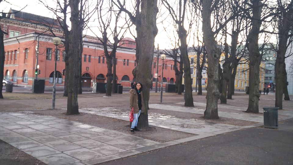 Photo of European Diaries- A quickie in OSLO 14/14 by Smita