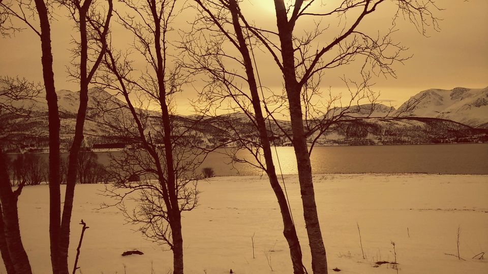 Photo of European Diaries- And the chase begins by Smita