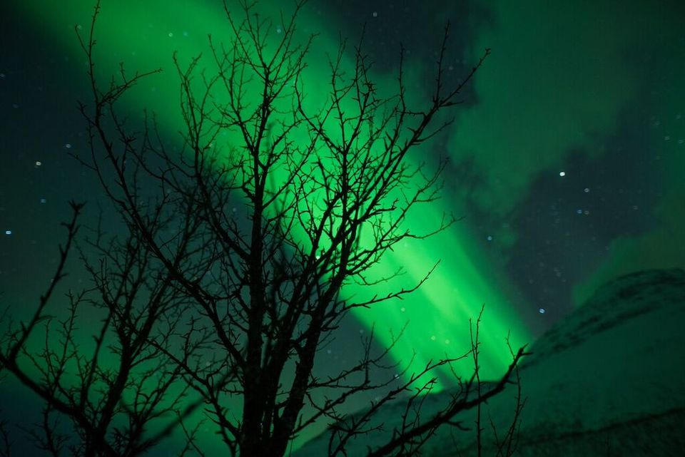 Photo of European Diaries-The Magical Aurora Borealis 11/15 by Smita