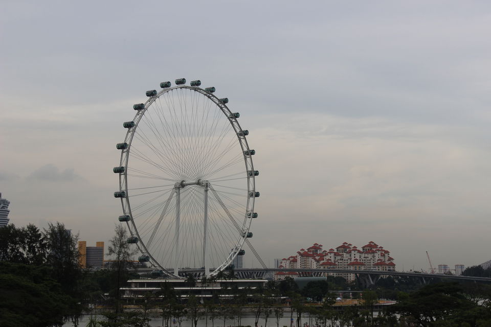 Photo of Living it as a local in Singapore 2/12 by Smita