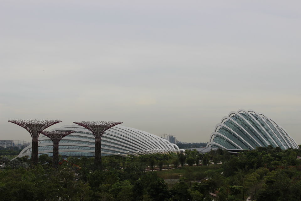 Photo of Living it as a local in Singapore 3/12 by Smita