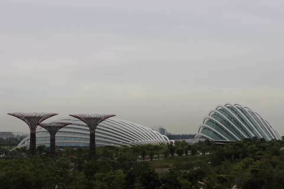 Photo of Gardens By the Bay by Smita