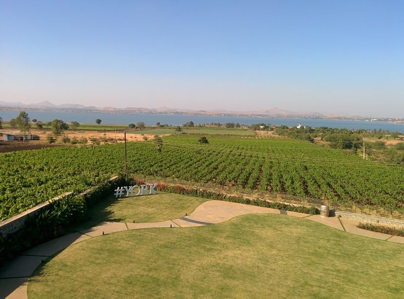 Photo of York Winery, Nashik, India by Smita