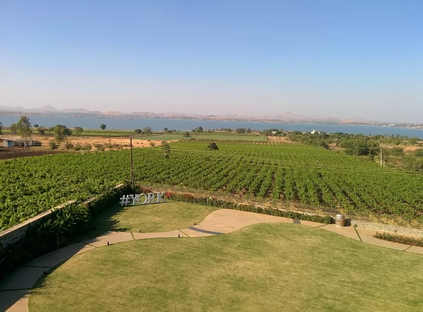Photo of York Winery, Nashik, India by Smita