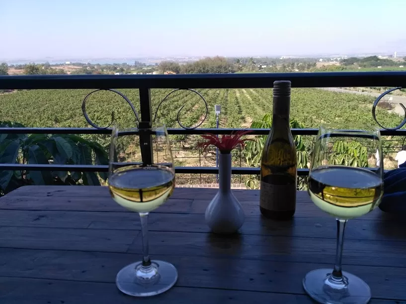 Photo of Sula Vineyards, Nashik, Maharashtra, India by Smita