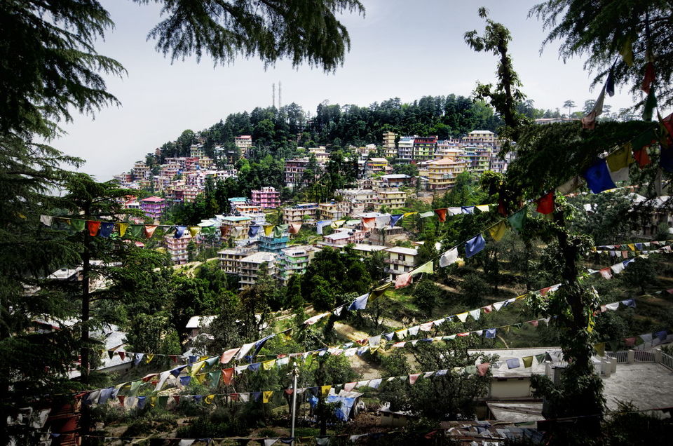 Photo of How we spent a weekend in Mcleodganj 1/1 by Khushboo Benani