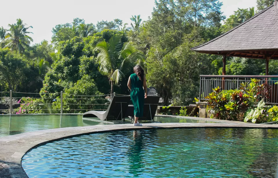 Photo of Want to book luxurious Honeymoon Trip to Bali under 1 Lac(For Couple) on your Own? Check this now by Vishal Solanki