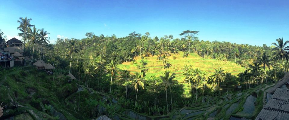 Photo of Rejuvenating experience in Bali 5/10 by Neha Menezes