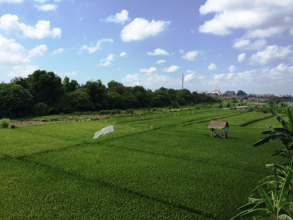 Photo of Rejuvenating experience in Bali 9/10 by Neha Menezes