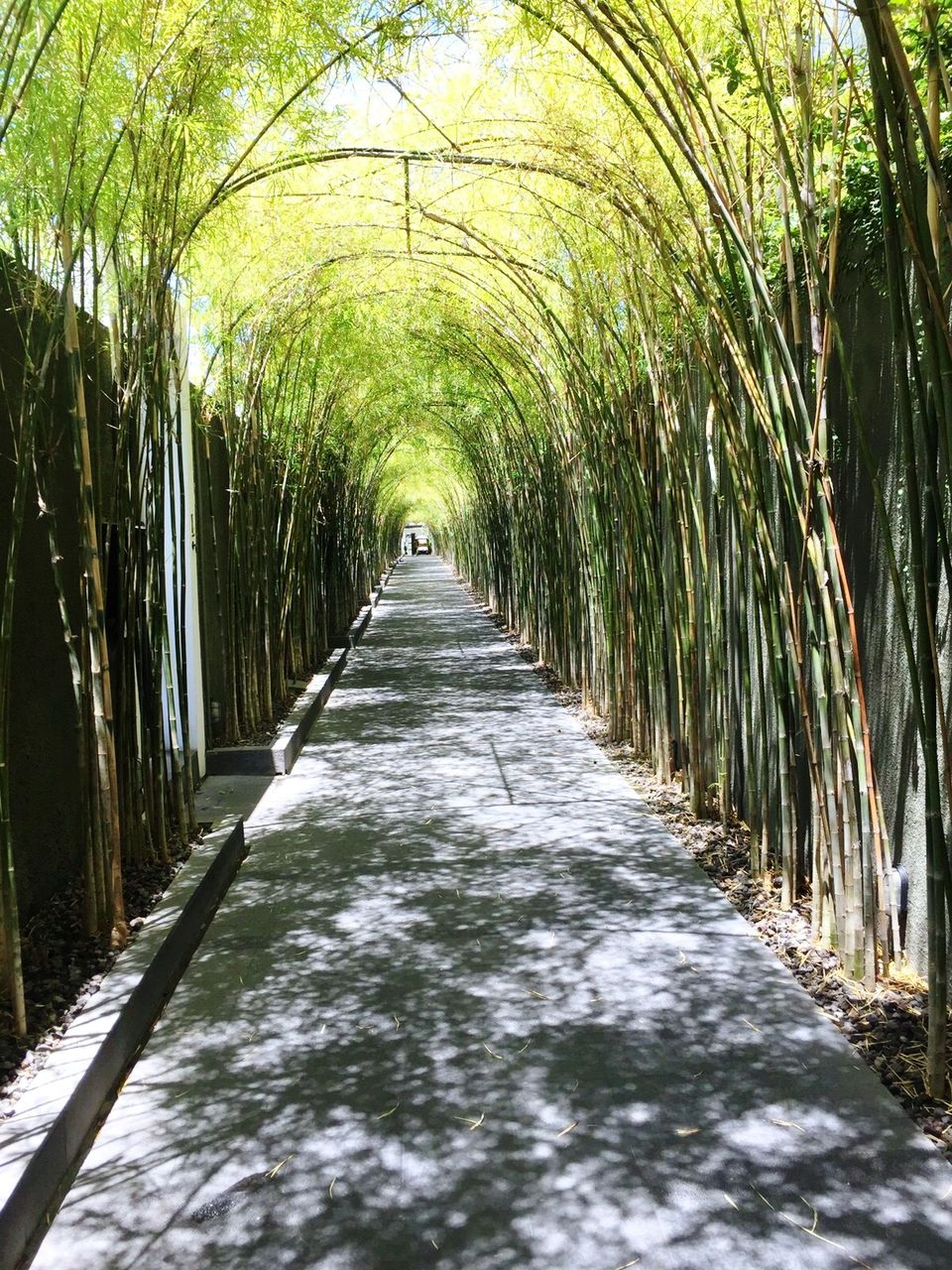 Photo of Rejuvenating experience in Bali 10/10 by Neha Menezes