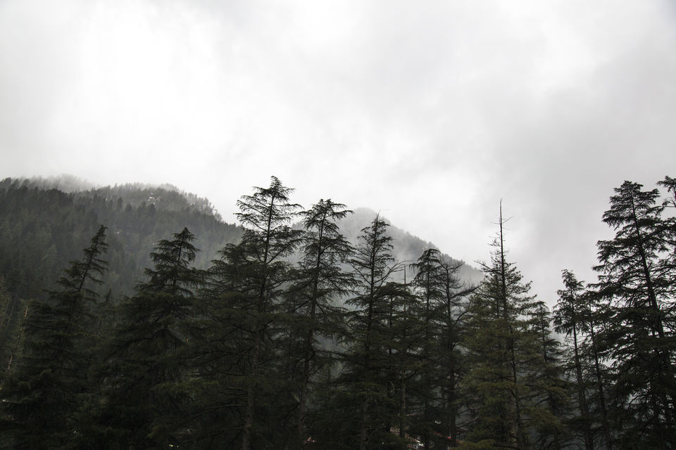 Photo of Kasol // a journey within // solo trip by Kavish Sethi