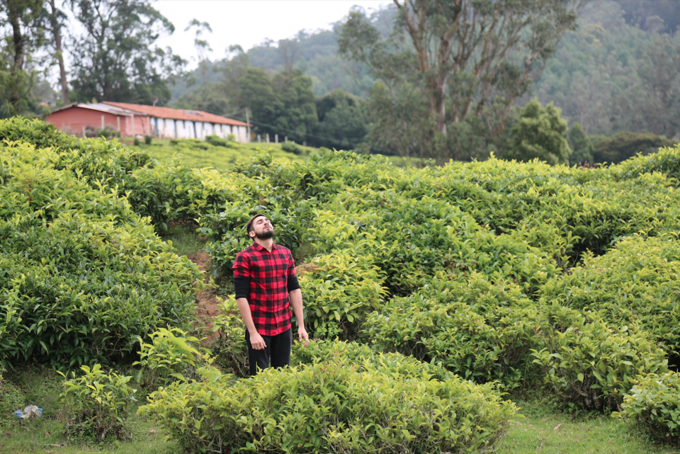 Photo of Ooty // The Tea Hill Station // by Kavish Sethi