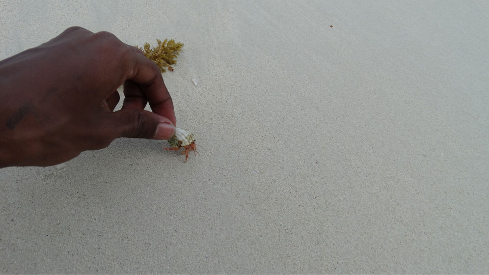 Photo of Neil Island, Andaman and Nicobar Islands by The Indian Banjara