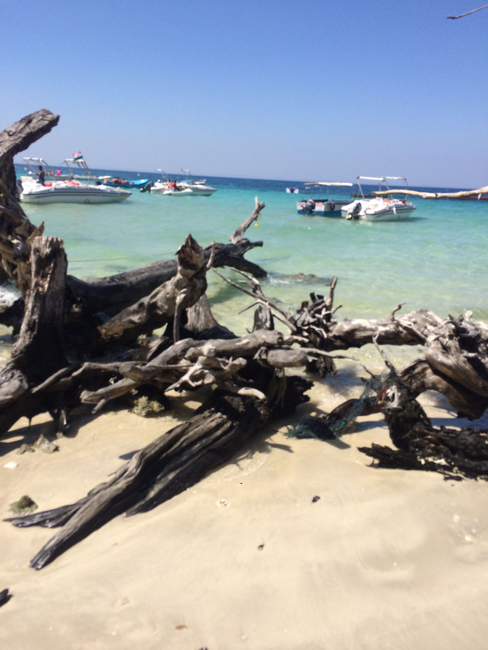 Photo of A Hidden Pearl - The Andaman by The Indian Banjara