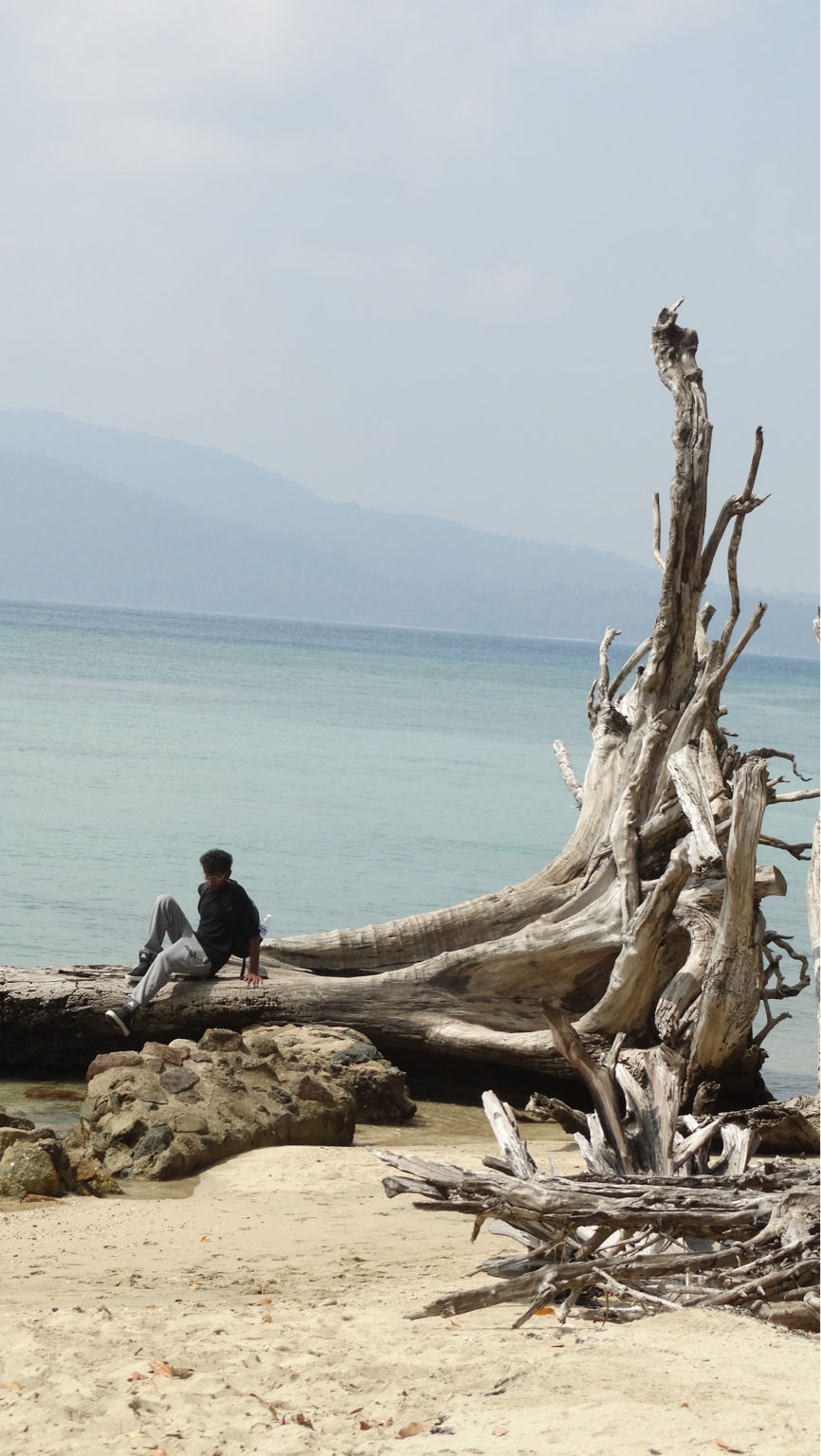 Photo of A Hidden Pearl - The Andaman by The Indian Banjara