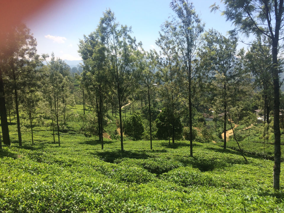 Photo of Ella, Sri Lanka by Afroz ReMo