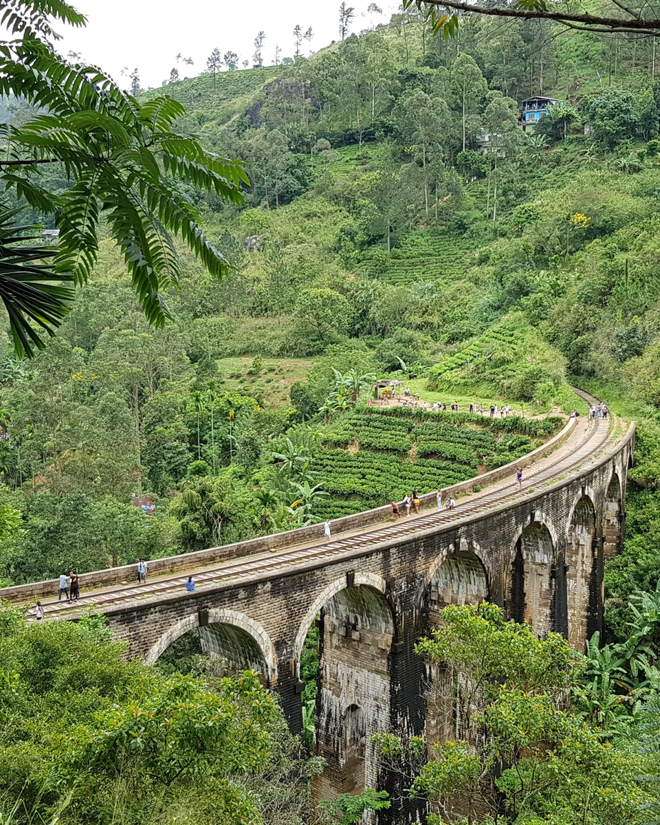 Photo of SriLanka - Not Your Little India by The Indian Banjara
