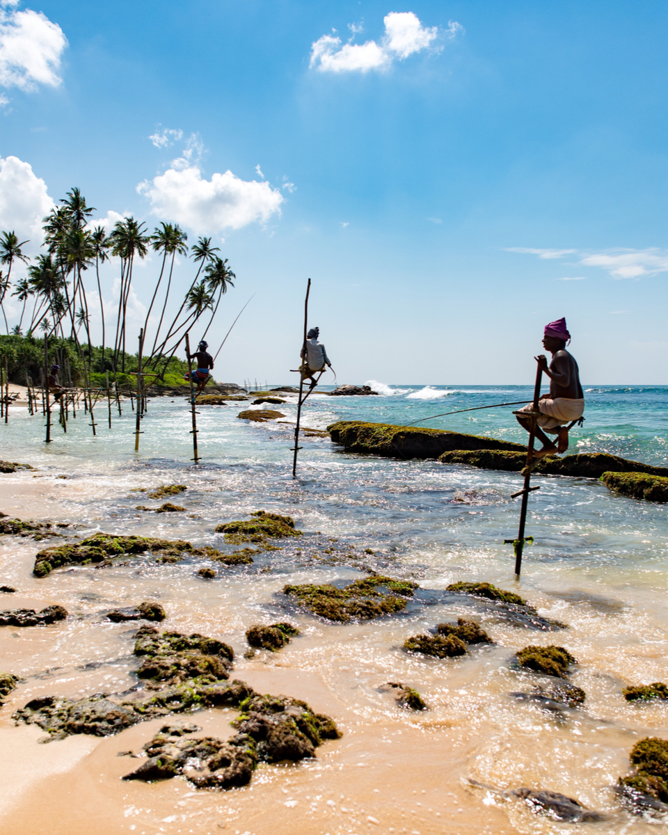 Photo of SriLanka - Not Your Little India by The Indian Banjara