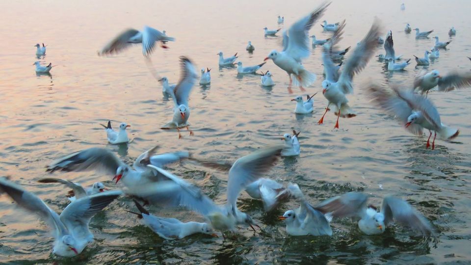 Photo of Varanasi - A city older than History!! 1/3 by Angelic Xplorez