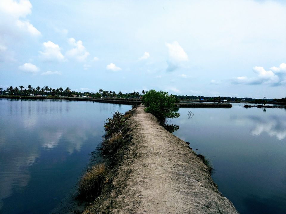 Photo of Kadamakkudy - A Weekend in Kochi ! by Angelic Xplorez