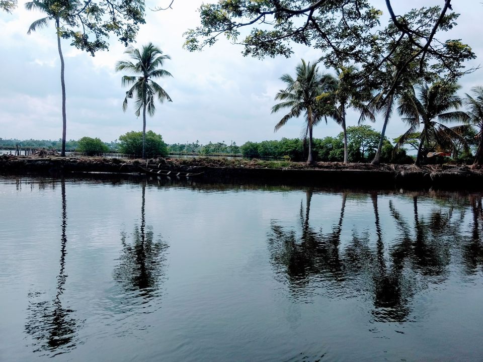 Photo of Kadamakkudy - A Weekend in Kochi ! 2/3 by Angelic Xplorez