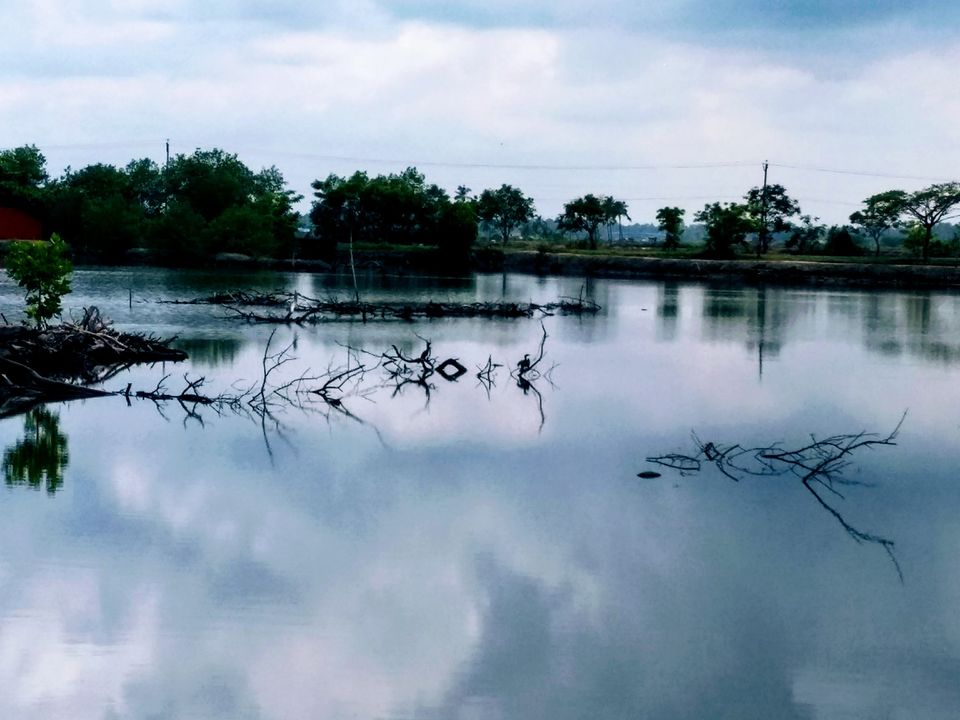 Photo of Kadamakkudy - A Weekend in Kochi ! 1/3 by Angelic Xplorez