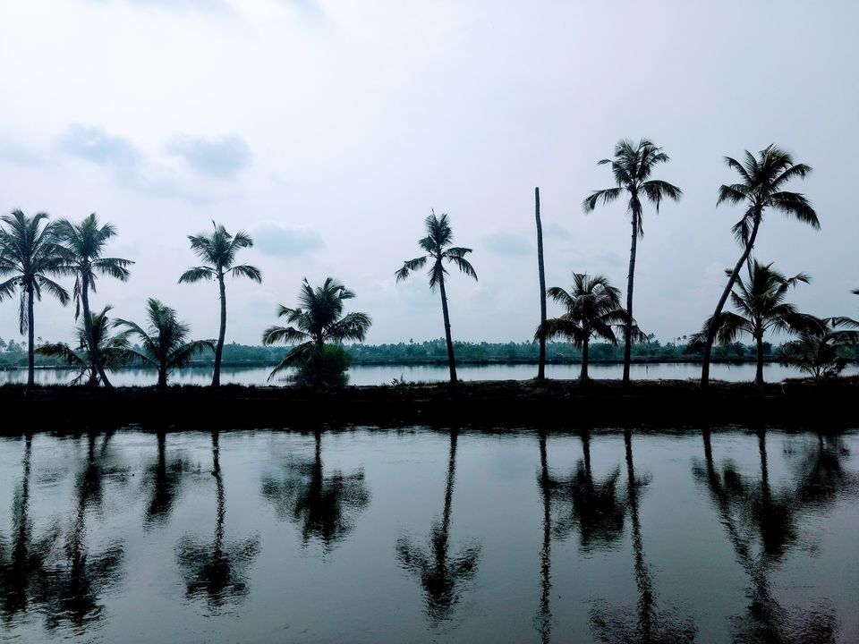 Photo of Kadamakkudy - A Weekend in Kochi ! 3/3 by Angelic Xplorez
