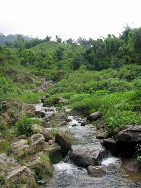 Photo of The Road Less Travelled: Offbeat Destinations in India that are perfect for Peace and Serenity 4/13 by Athena Mondal