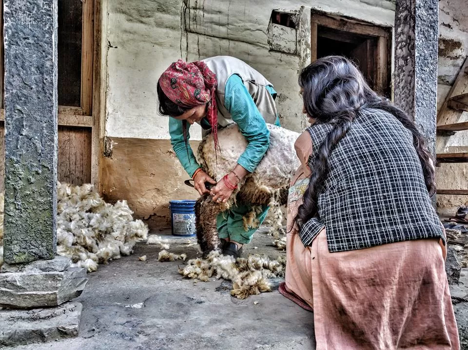 Photo of Banjar, Himachal Pradesh, India by Athena Mondal
