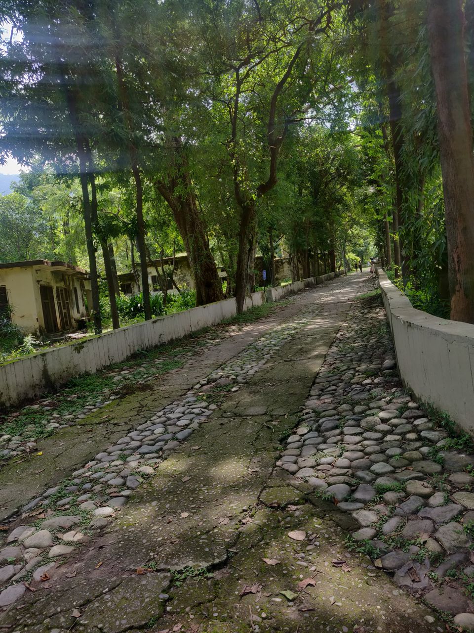 Photo of A chill weekend at Rishikesh by Apurva Joshi