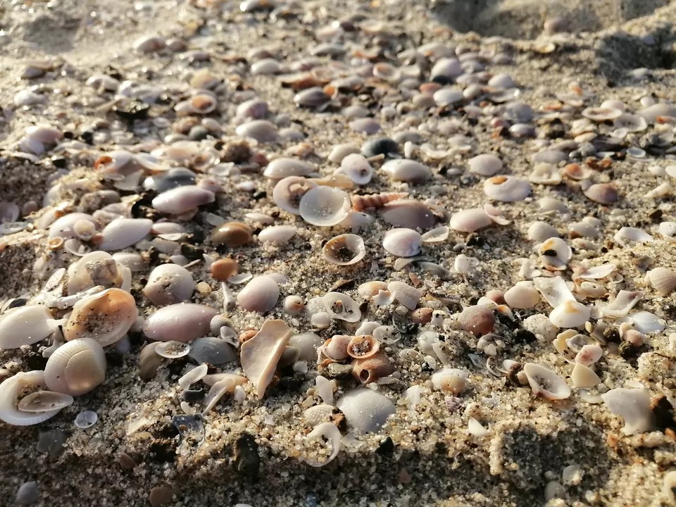Photo of Dhanushkodi Beach, Tamil Nadu by Kuldeep Sunkerikar