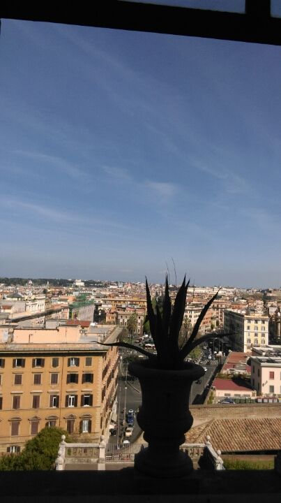 Photo of Viale Vaticano, Rome, Metropolitan City of Rome, Italy by Anirudh Gupta