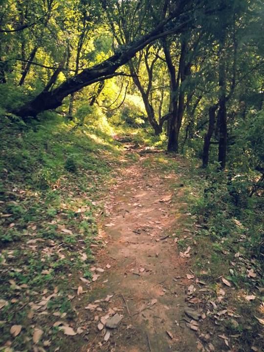 Photo of Getaway from Delhi: A Trek to Nagtibba 8/13 by Anirudh Gupta