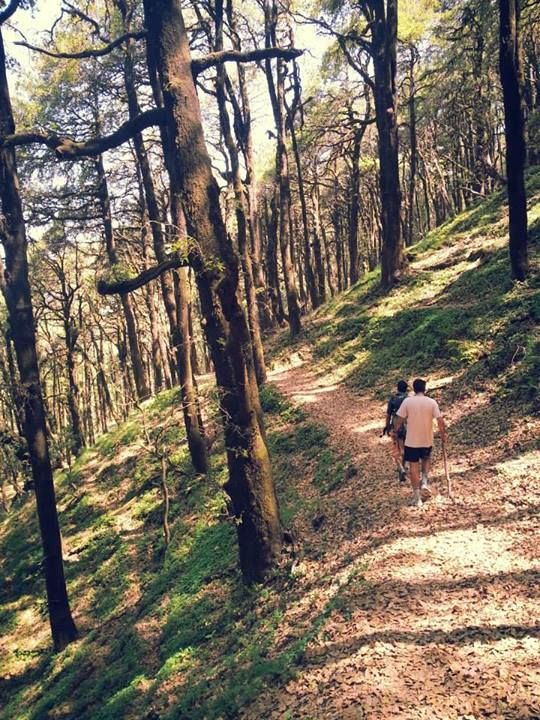 Photo of Getaway from Delhi: A Trek to Nagtibba 11/13 by Anirudh Gupta