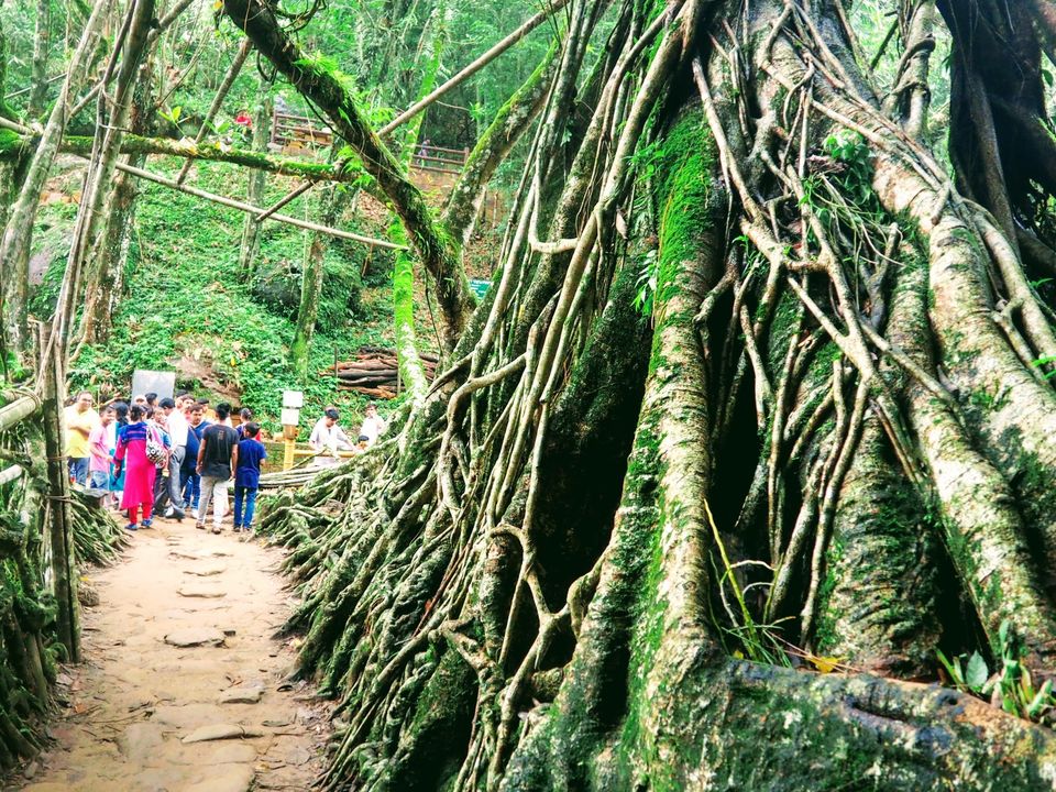 Photo of Mawlynnong, Meghalaya, India by Abhay Tripathi