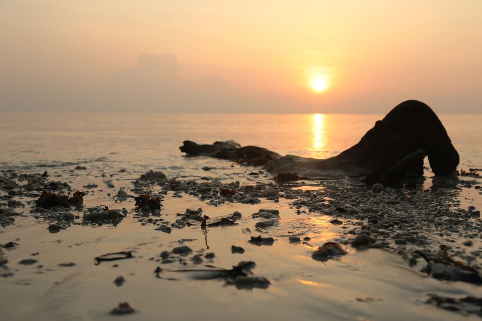 Photo of Kalapathar Beach, Andaman and Nicobar Islands, India by Abhay Tripathi