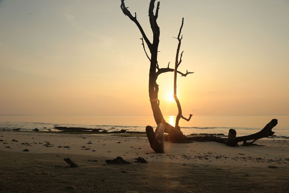 Photo of Kalapathar Beach, Andaman and Nicobar Islands, India by Abhay Tripathi