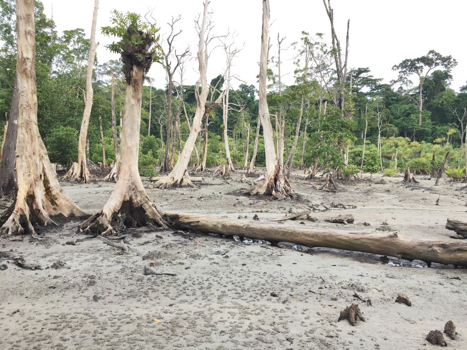 Photo of ELEPHANT BEACH, Andaman and Nicobar Islands, India by Abhay Tripathi