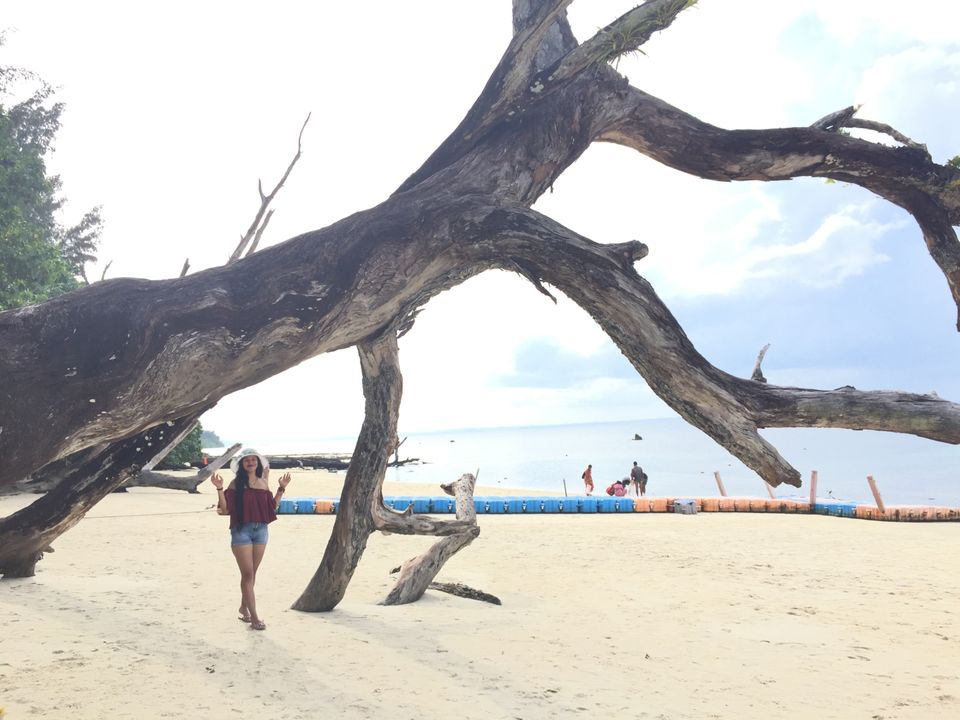 Photo of ELEPHANT BEACH, Andaman and Nicobar Islands, India by Abhay Tripathi