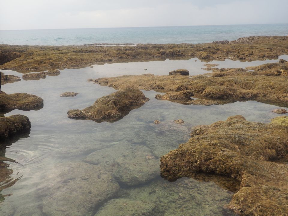 Photo of Lakshmanpur Beach No 2 by Abhay Tripathi