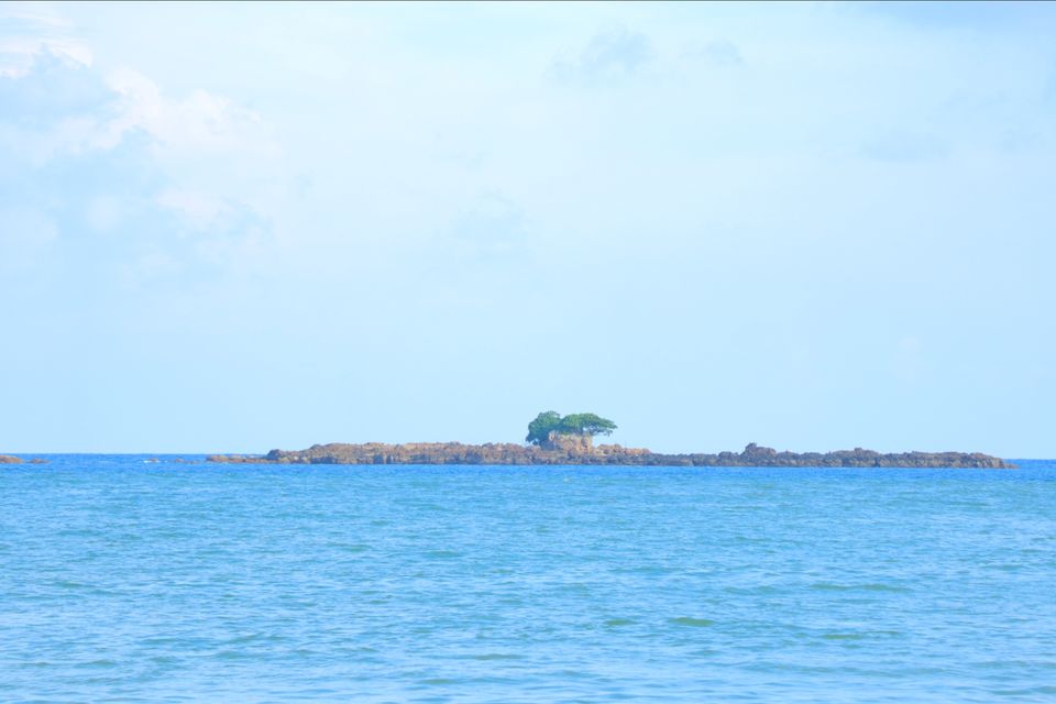 Photo of Corbyn Cove Beach by Abhay Tripathi