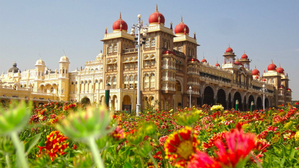Photo of Here’s How to Book a Suitable Honeymoon Package to South India by Johnny Bermudez