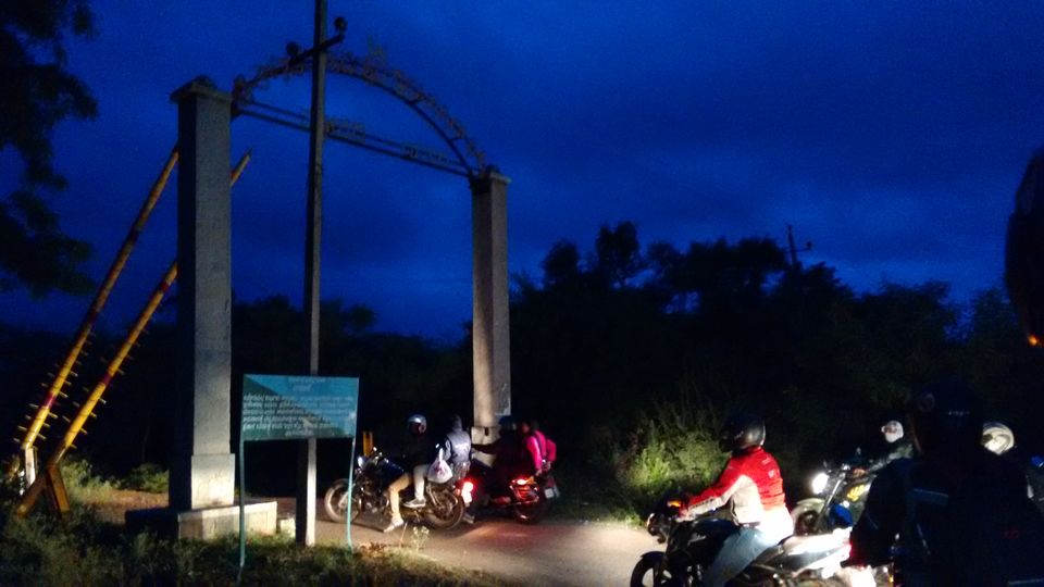 Photo of An escapade to mini Bandipur - Bangalore to Thattekere Lake 4/20 by ADITI