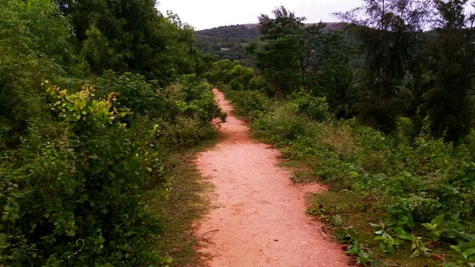 Photo of An escapade to mini Bandipur - Bangalore to Thattekere Lake 9/20 by ADITI
